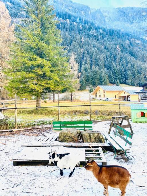 Cozy Apartment In Vintage House In Kandersteg Bagian luar foto